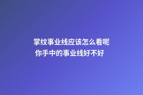 掌纹事业线应该怎么看呢 你手中的事业线好不好